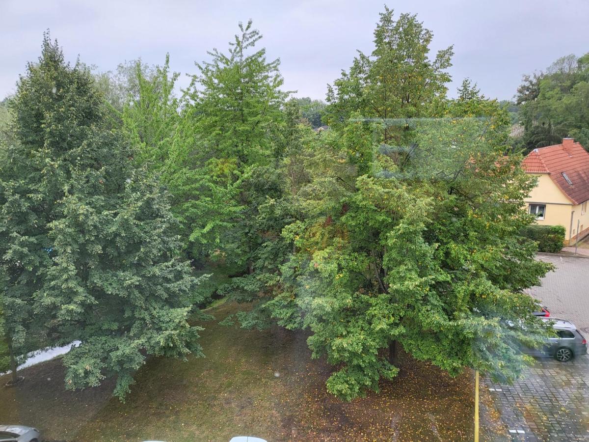 Exklusivwohnung Bad Duerrenberg المظهر الخارجي الصورة